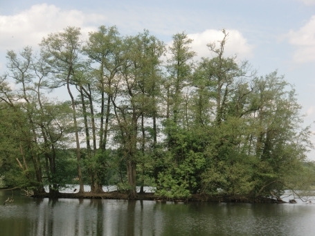 Nettetal-Hinsbeck : Krickenbecker Seen, Glabbacher Bruch